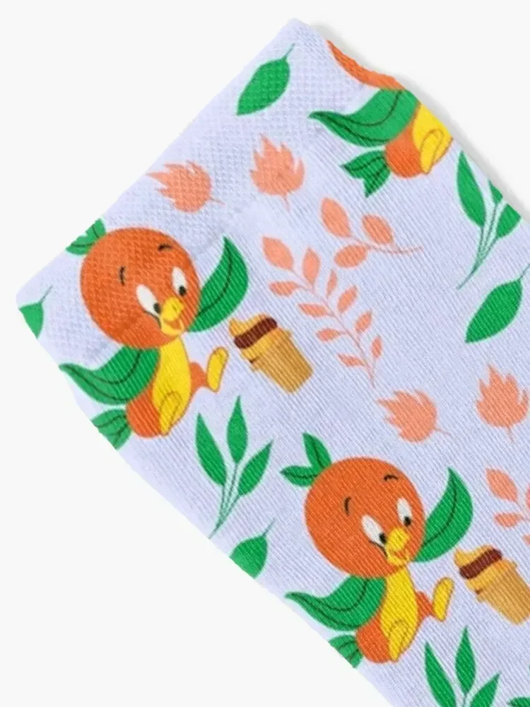 Orange Bird and Citrus Swirl Socks anime hiphop Ladies Socks Men's