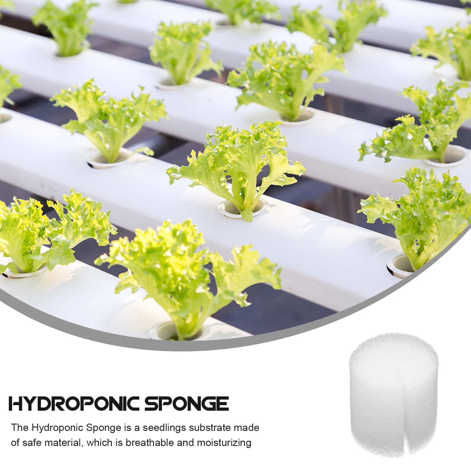 

100pcs Hydroponic Sponge White Soil Free Growing Cubes Supplies Accessories Planting Tool Balcony Vegetable Fruit Flower