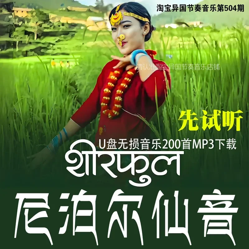Douyin Super Nice Nepalese Streaming Song Music Lossless MP3 Audio Source Digital High Quality Car Music U Disk