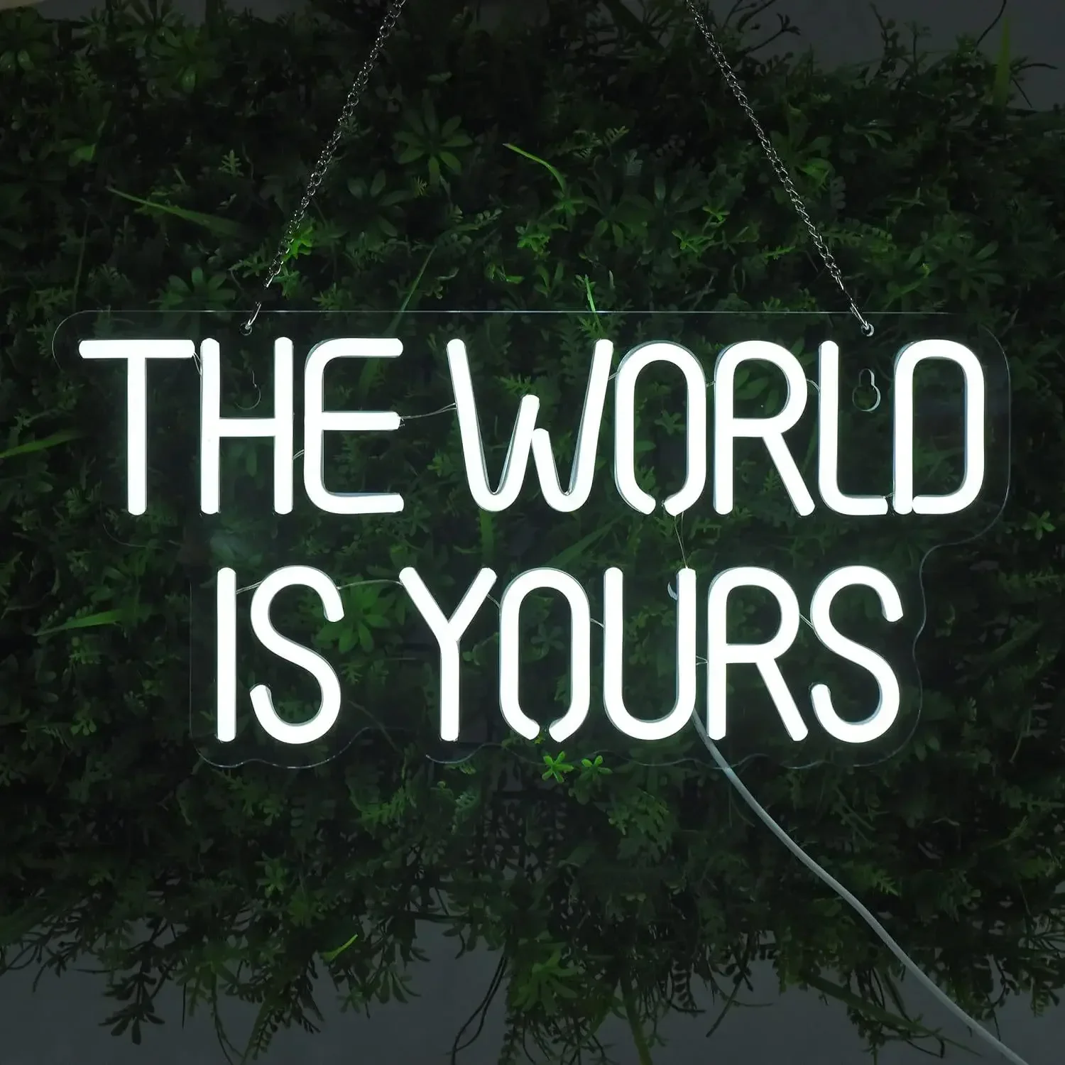 -the-world-is-yours-ネオンサイン-usb調光可能-ledネオンライトサイン-ウォールアート装飾-ゲームルーム-寝室-リビングルーム-パーティーギフト用