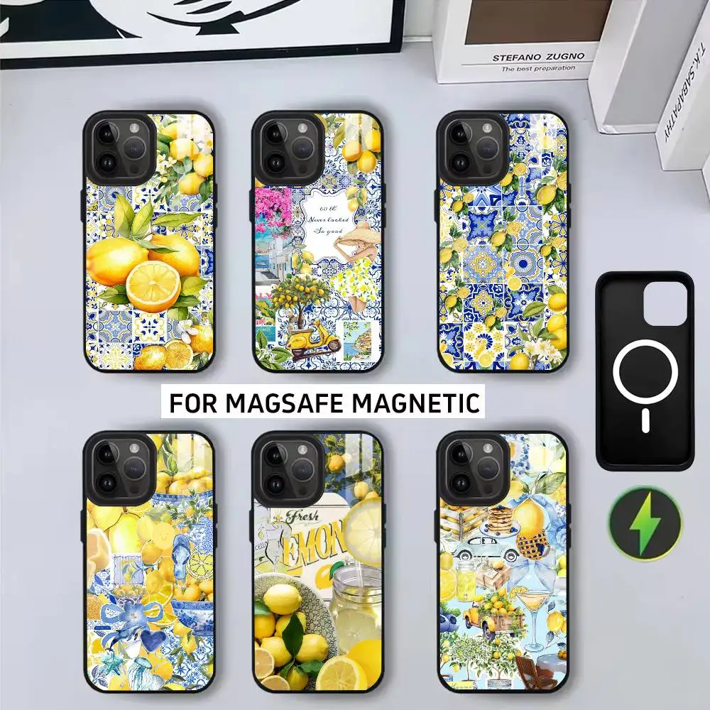 

Электронный европейский чехол для телефона A-Amalfi C-Coast L-Lemon-EACL для iPhone 17,16,15,14,13,12,11 Plus, магнитный для беспроводной зарядки Magsafe