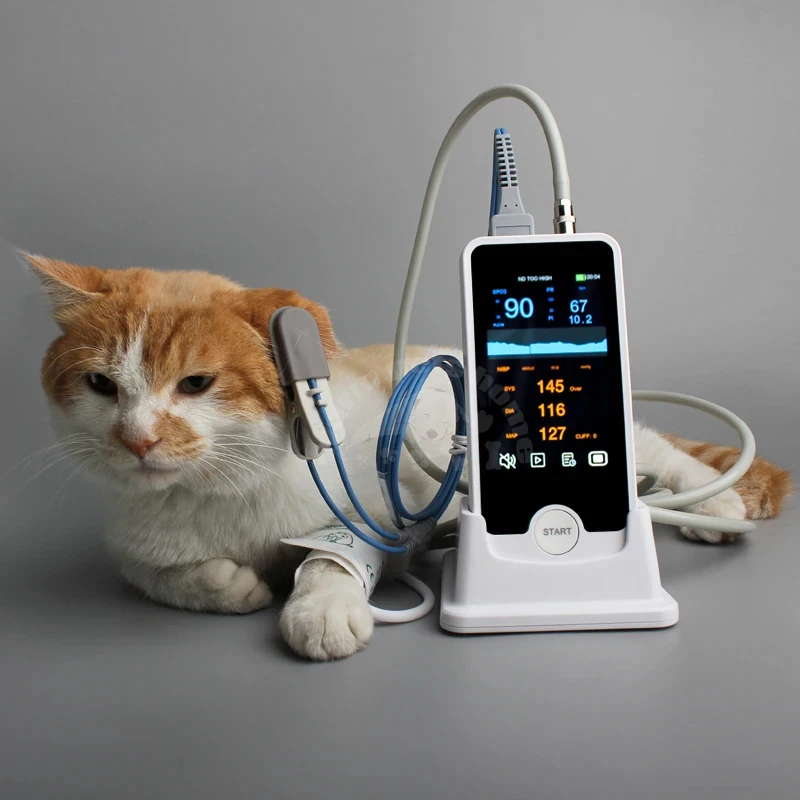 

Vet Animal Dog Cat Monitor Sphygmometer Handheld NIBP SPO2 Function Patient Monitor Veterinary Equipment Machine