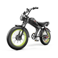 Factory Hot Selling Motors Fat Tire Bike Off Road Electric Bike Bicycle 1000*2 E-Bike Eu USA 1000w Steel Customized Logo OEM 48V