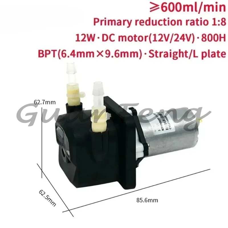 High flow economical dosing pump 600ml/min 12V 24V DC motor self-priming pump