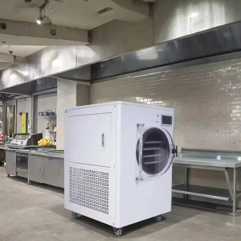 مجفف معدات تجفيف التجميل، مجفف الطعام المجفف بالفراغ