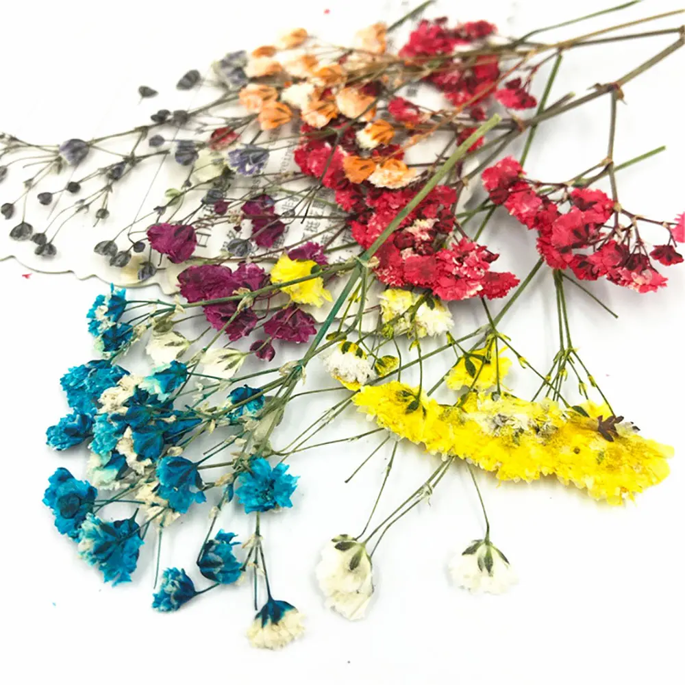 Silikonwelt DIY getrocknete Blumen Harzformfüllungen UV-Epoxidharz Blume für Nail Art gepresste Blume für Heimdekoration
