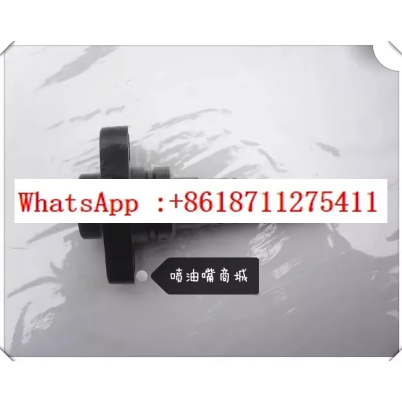 

Longkou series 530 model high-quality plunger, supply fuel pump accessories