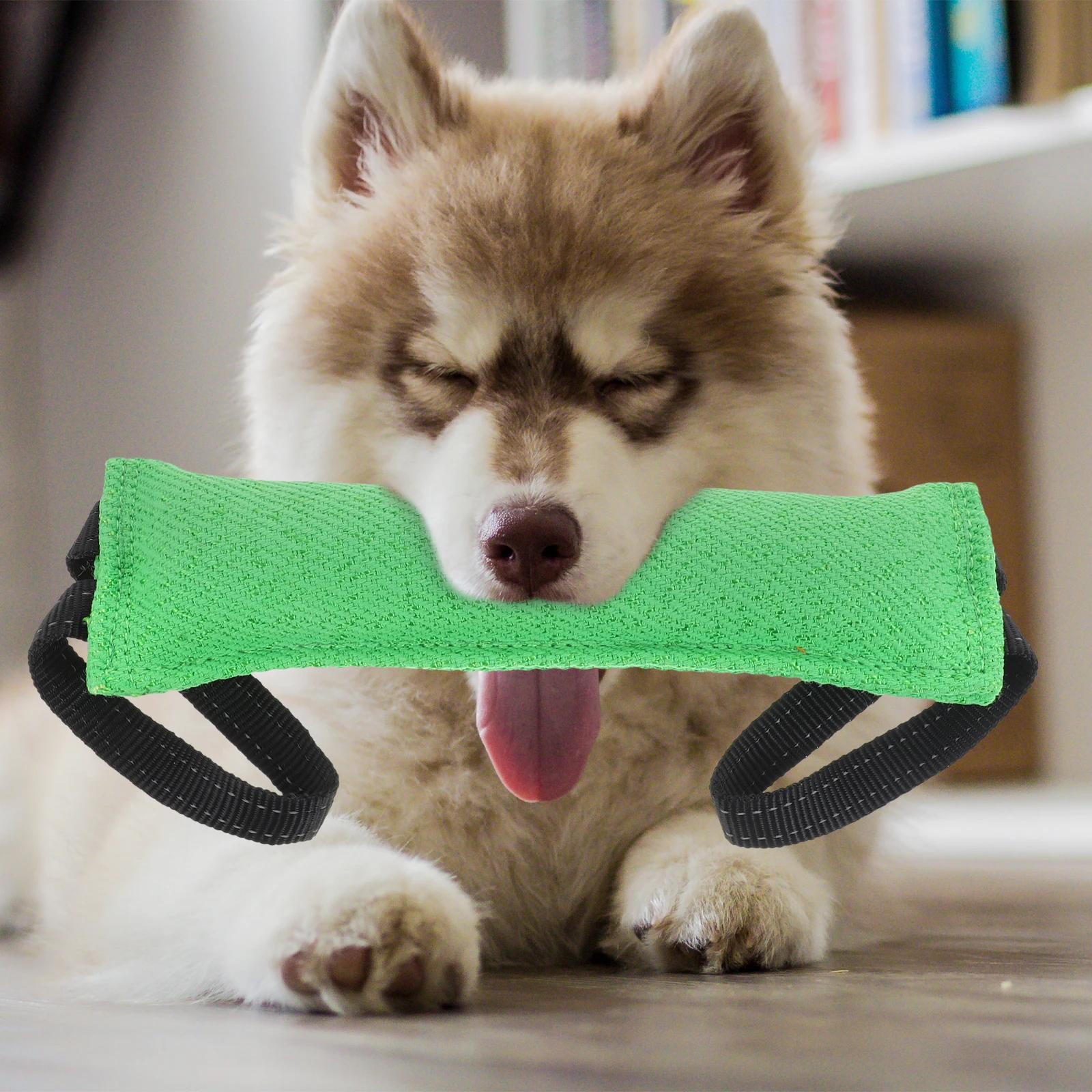 

Bite Dog Tug Interactive Interactive Safe Puppy Tug Toy Molar Toy Wear Resistant Outdoor Indoor Dog Toys