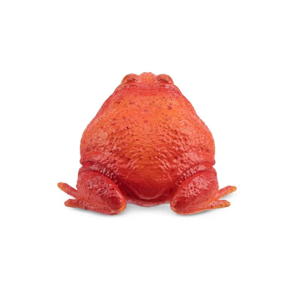 Toymany Simulation Tomato Frog Madagascar Animal Model Toy Mini Figures Dolls Action Figurines Toy Children Gife Cake Decoration