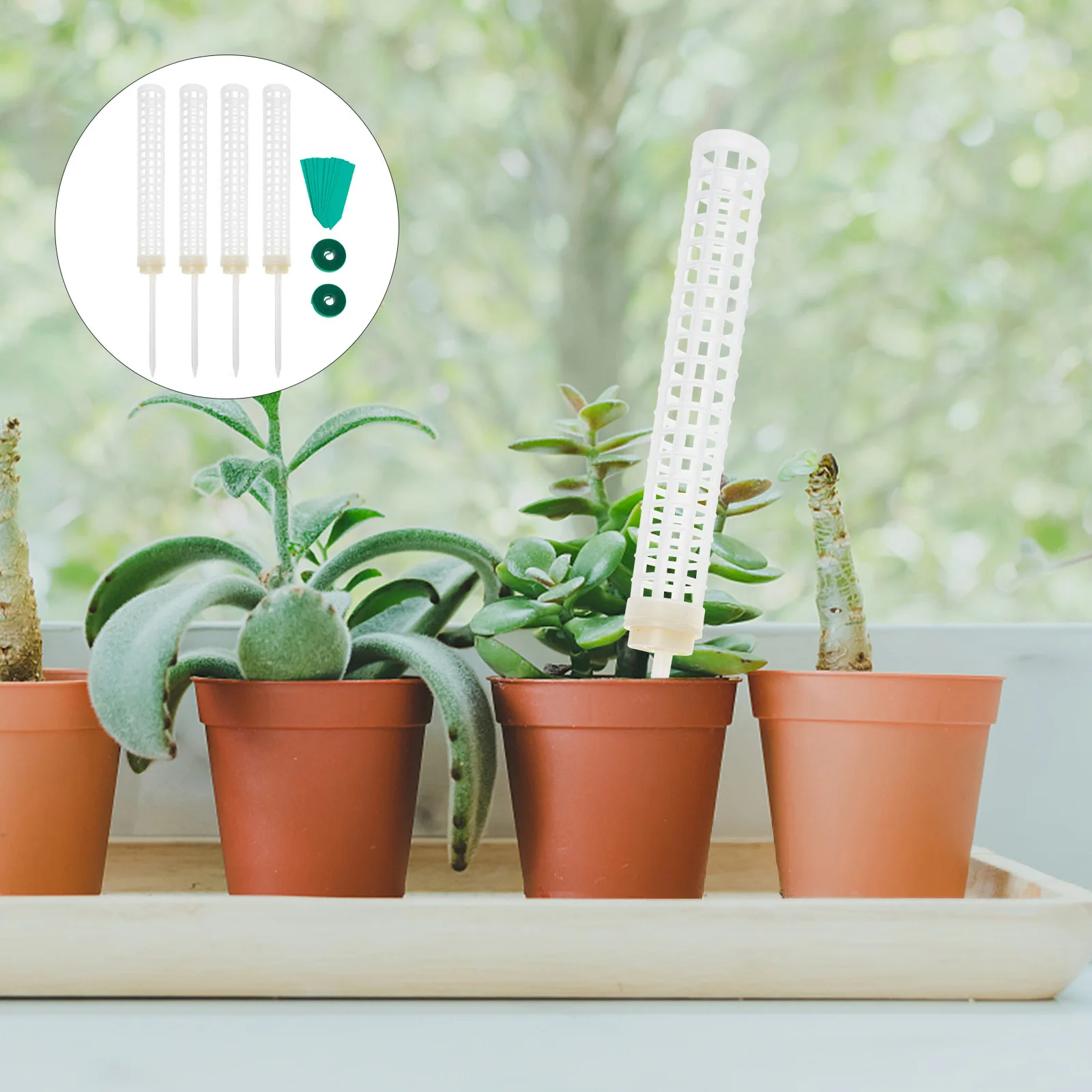 

2-комплект, колонна для восхождения растений, садовая решетка для наружного использования, в помещении, опорная стойка, лозы в горшках, розы, горох, утренние глобусы, жердина для мха