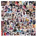 100pcs