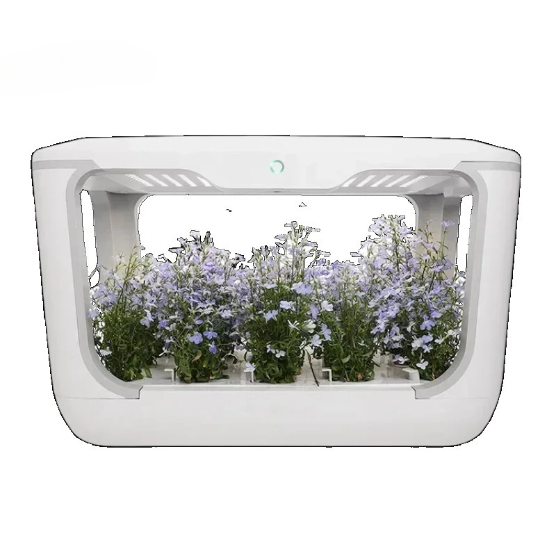 Caixa de cultivo hidropônica automática interna Smart Mini House Boxcompleta