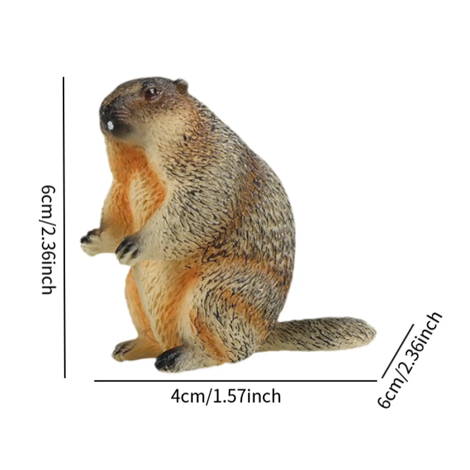 Figurine modèle marmotte, Sculpture de marmots, Mini artisanat décoratif réaliste