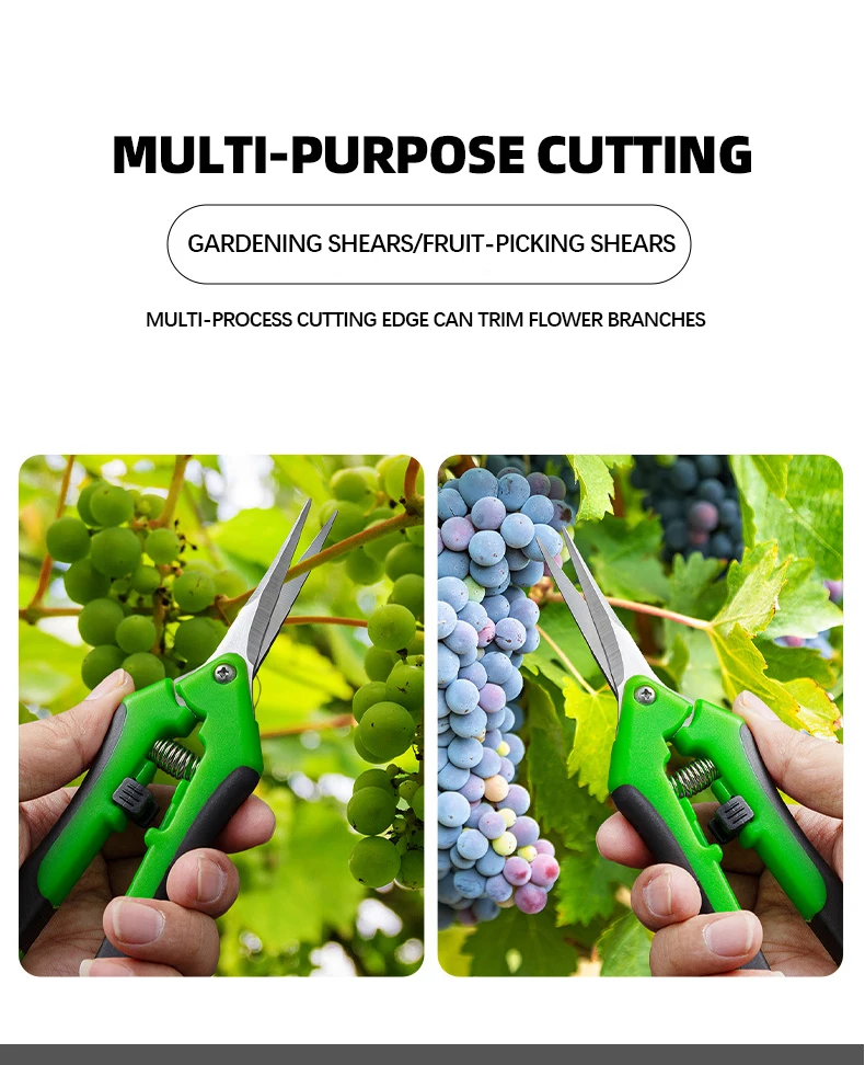 

8PC Mini Pruning Shears Sharp Pointed Tip Gardening Scissors Ergonomic Non-Slip Handle for Hydroponics Bonsai Harvesting