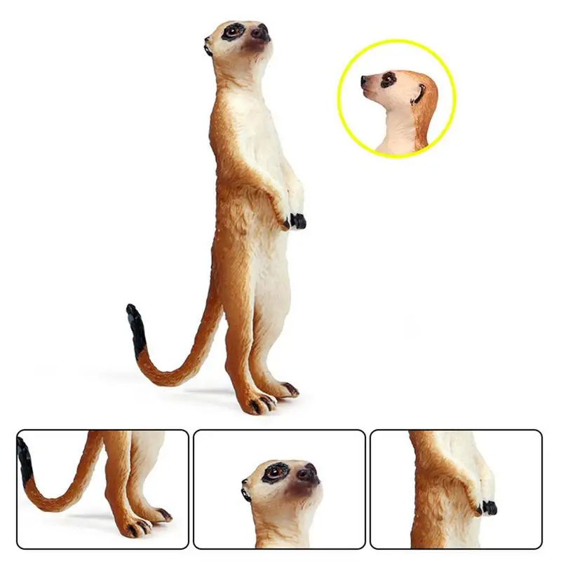 Realistic Wild Life Model SimulationMongoose Action Figurine Miniature Desert Animal Sculpture For Toddlers Collection Birthday