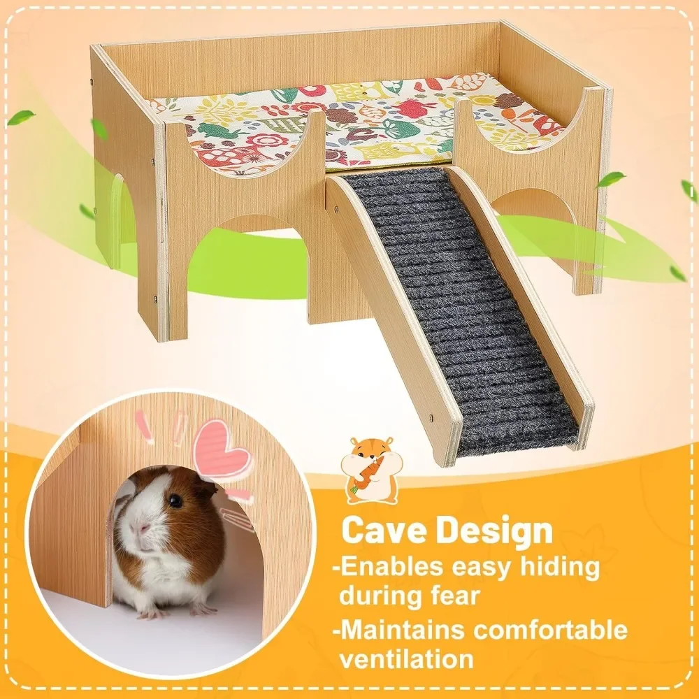Thumbnail 3 - #17 New Hamster Houses Arrivals