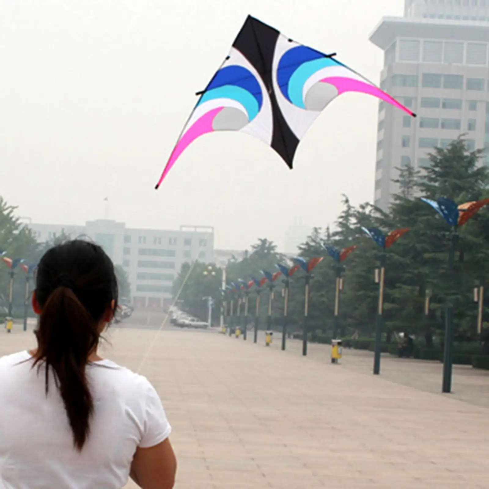 Kite Assembles Easy to Fly Large Professional for Sport Outdoor Teenagers