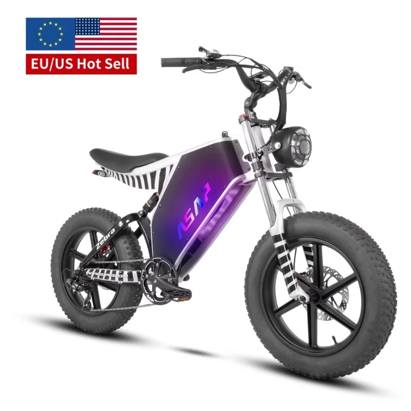 

1000 Watt Powerful Adult Bike with 20 Inch Tires Bike Supply Fast Delivery US Stock Electric Bike