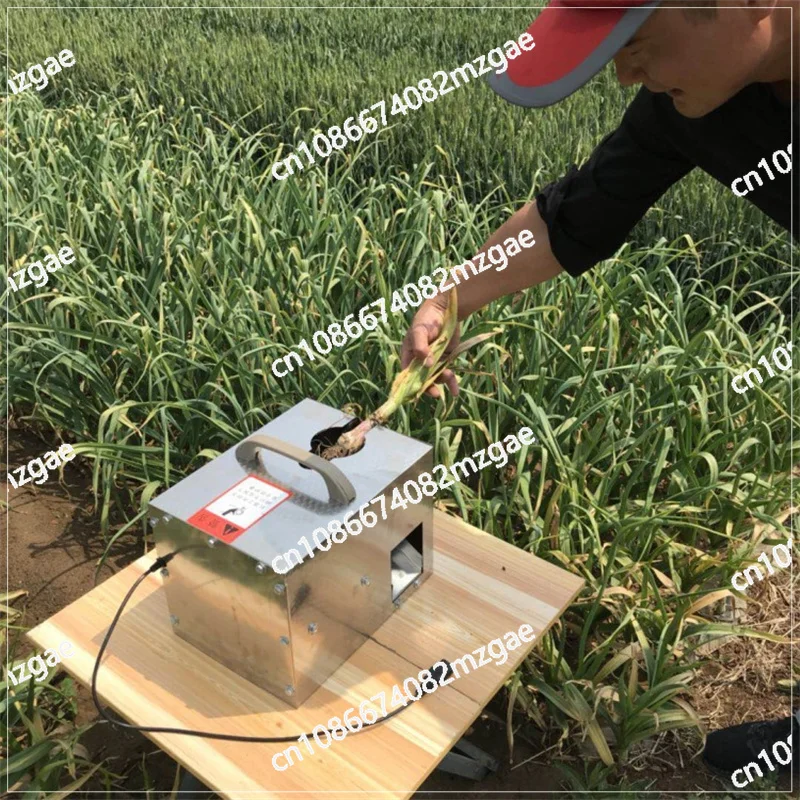 Electric Fresh Garlic Root Cutting Machine Stainless Steel Shallot Onion Root And Stem Cutter Mini Onion Garlic Root Remover