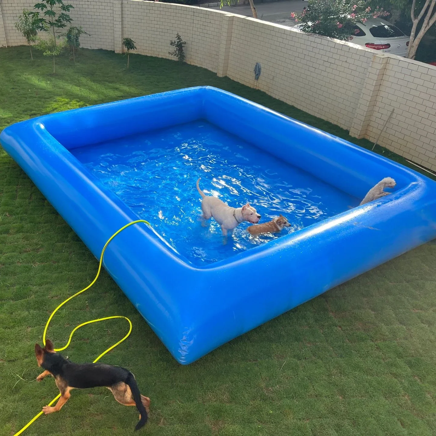 4x4m Hot Sale Inflatable Dog Swimming Pool Inflatable Pet Pool