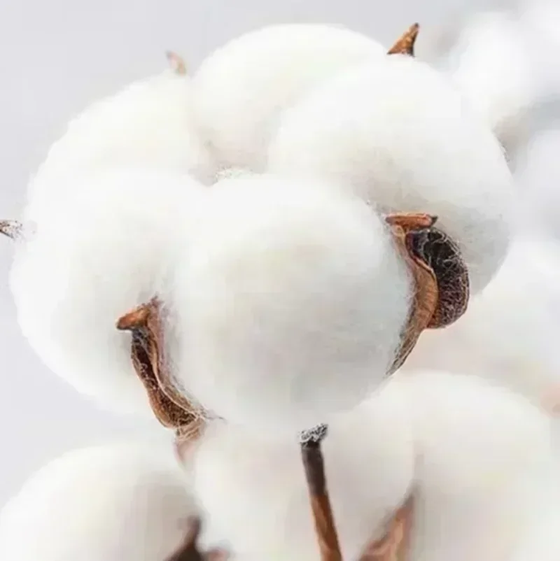 الرجال جديد أريزونا كاردينالز الأسود مروحة والعتاد Wordmark الأداء كنزة قطيفة الخريف الشتاء البلوز الترفيه للجنسين #4