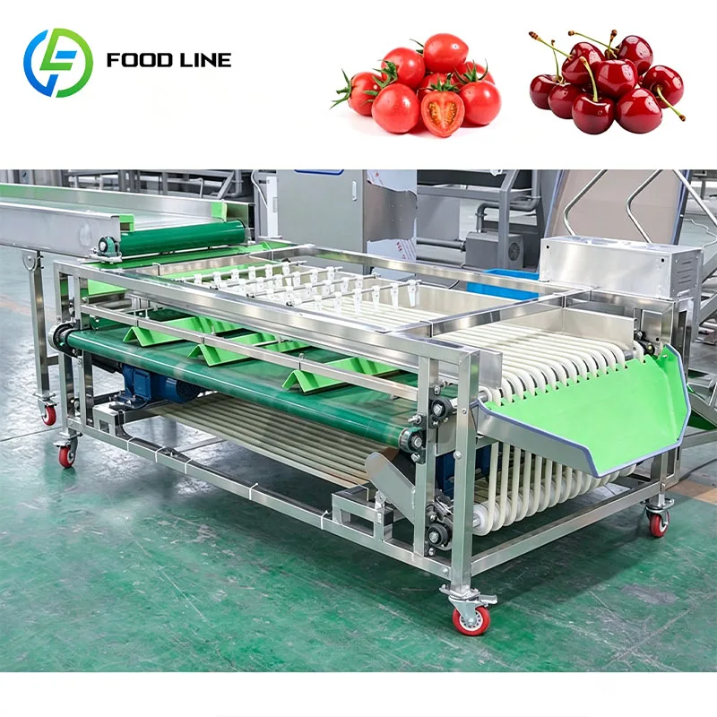Fruit Sorting Machine Fruit Grader Vegetable Sorter for Tomato Potato Onion Avocado Kiwi Peach Customized