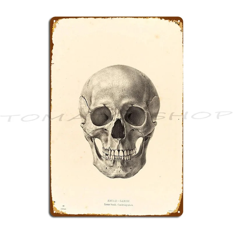 Shuttering 3d Human Model Skull Skeleton Metal Plaque Poster Kitchen Wall Decor Pub Painting Personalized  Tin Sign Poster