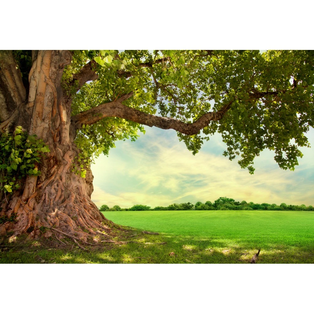 Spring Landscape Backdrops Flowers Forest Baby Shower Birthday Portrait Photographic Room Decor Background Photo Studio Props