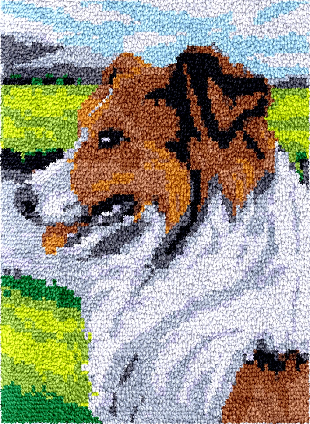 

latch hook kit rug canvas printing handwerken knooppakket diy carpet embroidery handmade 55-75CM DOG new