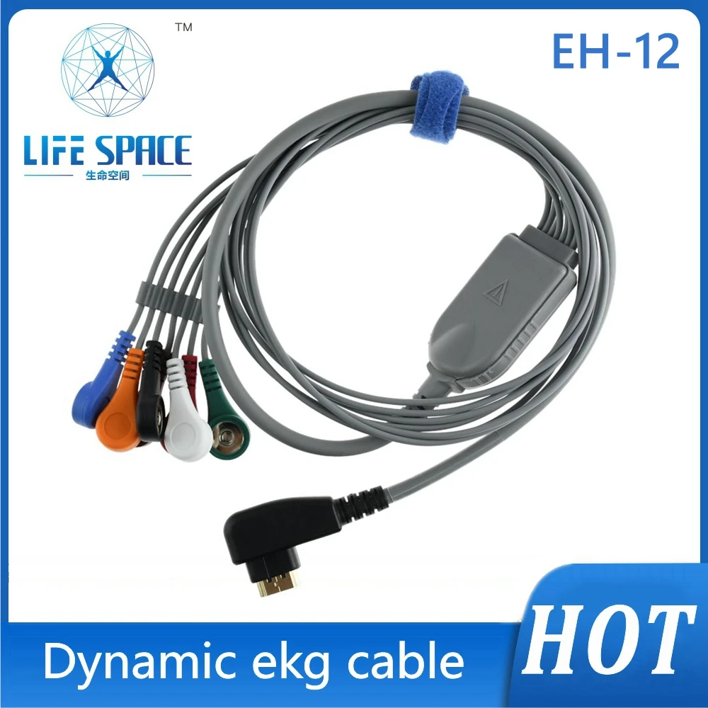 

Holter Cable ECG EKG Cable leads 7 Leads Channel ECG Holter Monitoring Recorder System only Cable DMS holter