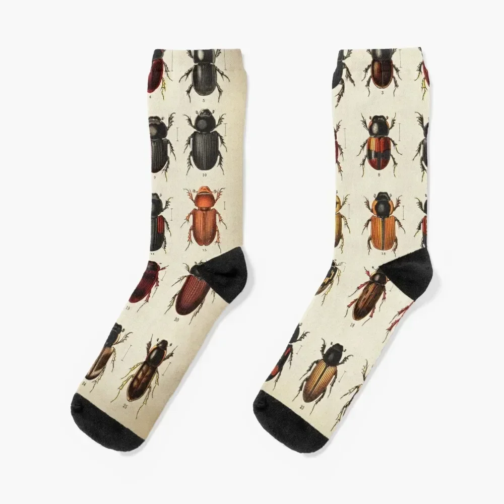 

Beetle Chart, entomology Socks japanese fashion ankle Hiking boots Socks Men's Women's