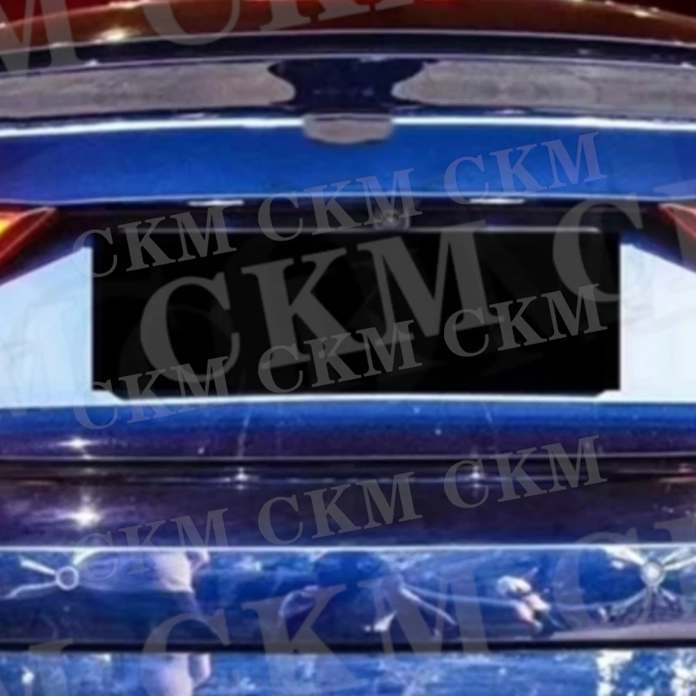 Carbon Fiber Rear B…