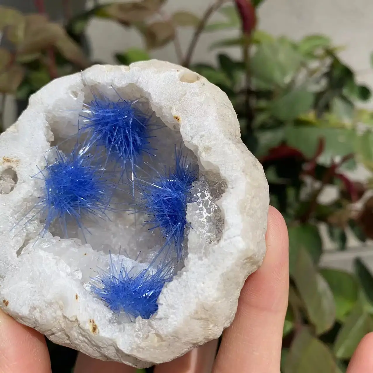 Natural white agate crystal cluster, goethite Symbiotic quartz, Energy Gem Reiki Healing, Gifts, Room, Aquarium decoration,