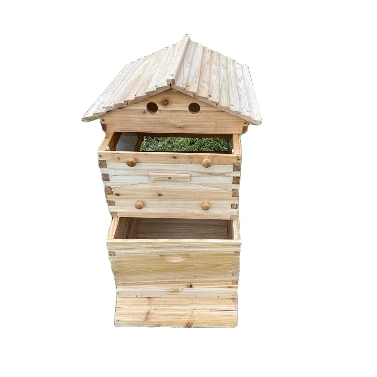 Factory Supply Australian Auto Beehive Honey Bee Box for Sale Automatic Wood Bee Hives