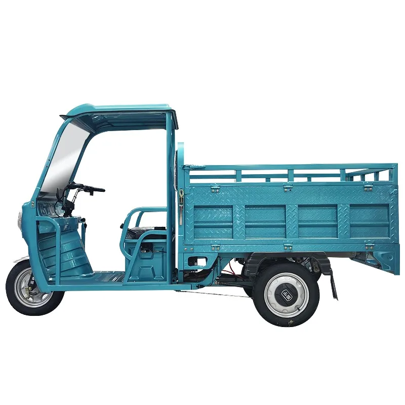Keyu Bulk Purchases Cheap Thickened Cargo Hold 3 Wheel Enclosed 800w Cargo Electric Tricycle