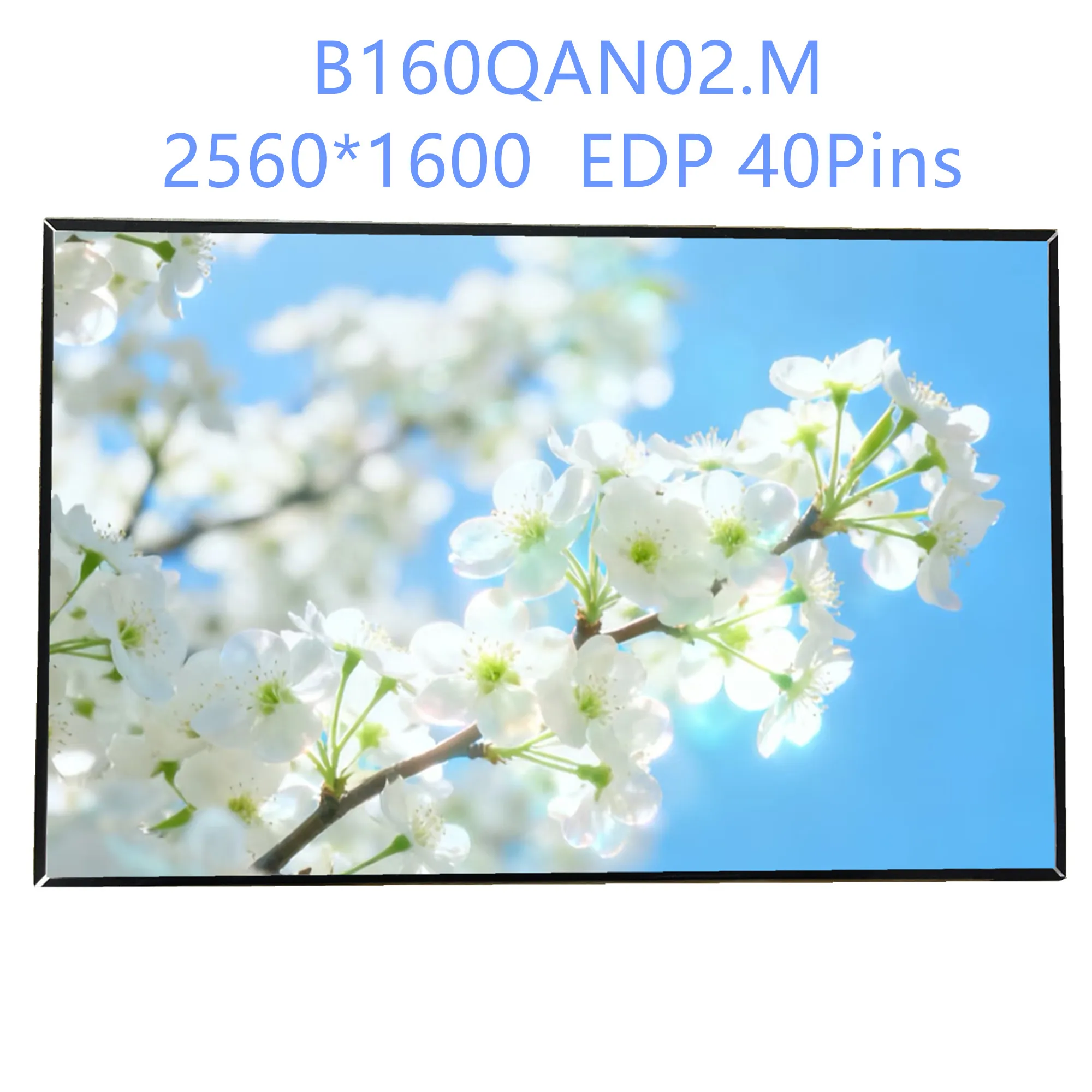 

B160QAN02.M 16.0'' Laptop LCD Screen Panel Matrix 2560*1600 EDP 40 Pins
