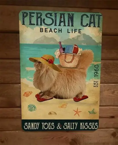 Persian Cat Beach Life Sandy Toes Salty Kisses Animals 8x12 Metal Wall Sign