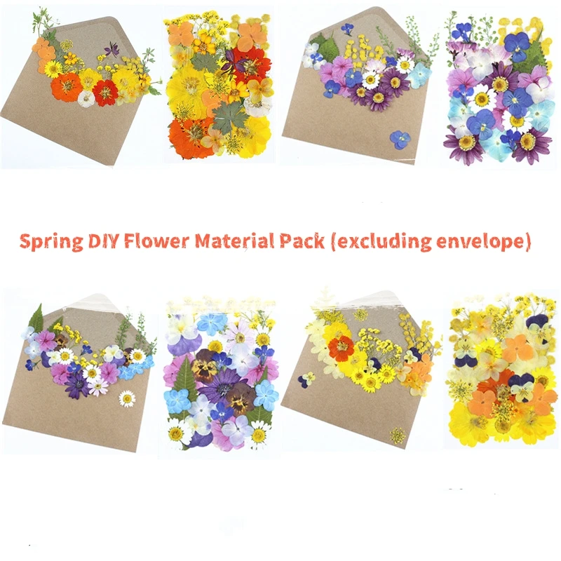 

Pressed Flower DIY Material Kit for Spring: Dried Flowers for Crafts, Valentine's Day, Birthday Gifts, Photo Frames, Envelopes, Pressed Flowers for Friends, Holiday Gifts