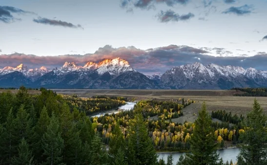 

New 207E 1:10 Scale Large 60KM/H High Speed RC Car Truck 2.4G Brushless Remote Control Car Kids Toy