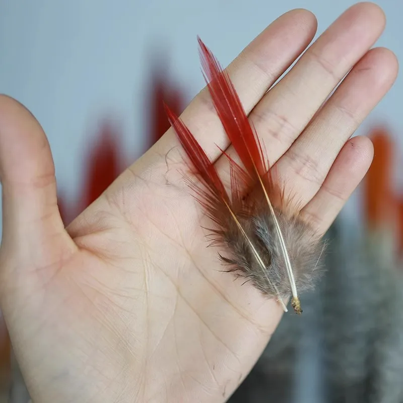 

20Pcs/lot 2-4inches 5-9cm golden pheasant feather, red tipped, striped feather, lot. golden pheasant tail feathers