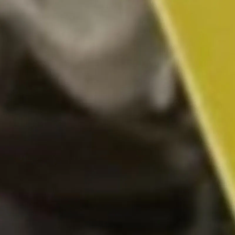 

FOR KAWASAKI ZX10R ZX10RR NINJA ZX-10R ZX-10RR ZX 10R 10RR 2021 2022 2023 2024 2025 2026 Motorcycle Radiator Guard Grille Covers