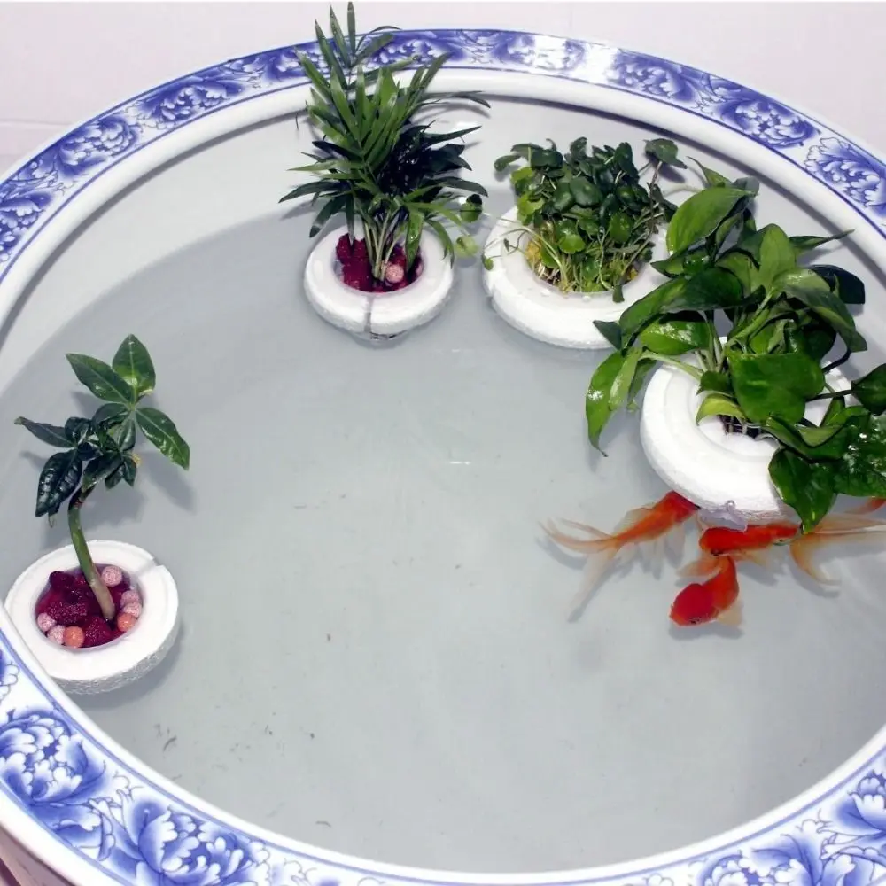 Plastic Floating Aquatic Plant Basket Round Root Protection Hydroponic Planting Basket Suction Cup Plant Root Basket