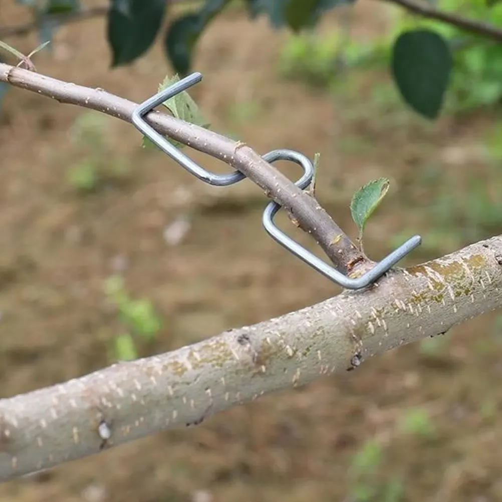 

20 pcs Fruit Tree Branch Puller Galvanized Steel Wire Durable Reusable for Orchard Training Bonsai Trunk Support Branch