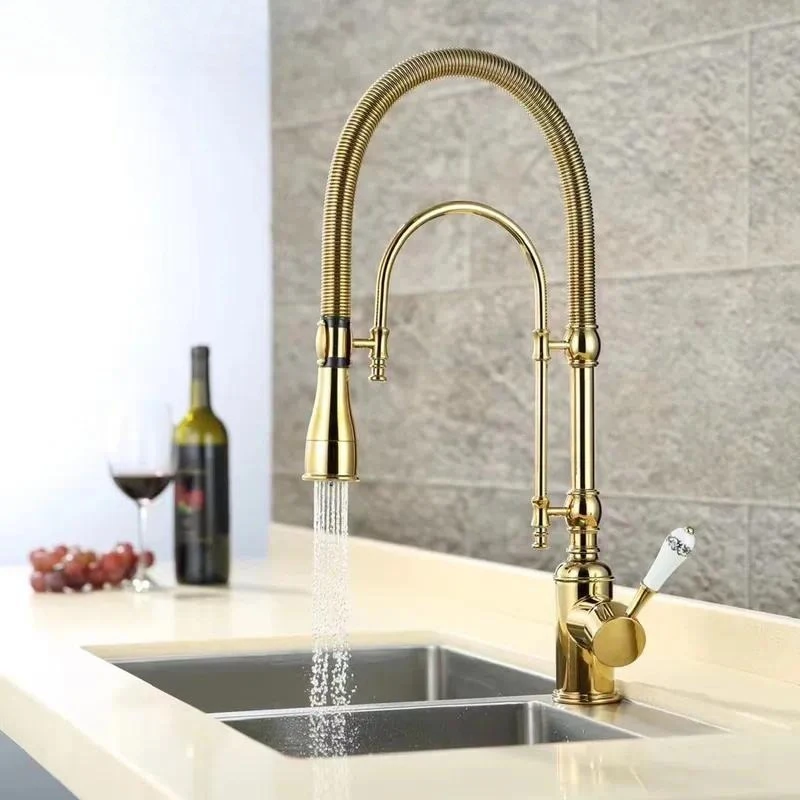 European Style Titanium Kitchen Faucet Hot and Cold Water Double Outlet All Copper Rotating Tap for Vegetable Basin Sink