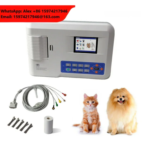 ECG300G Portable 3 Channel 12 Leads Ecg Machine Animal
