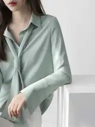 Spring and Summer New Fashionable French Tie Design Niche Chiffon Shirt Women's Long Sleeved Professional Base Blouses Shirt