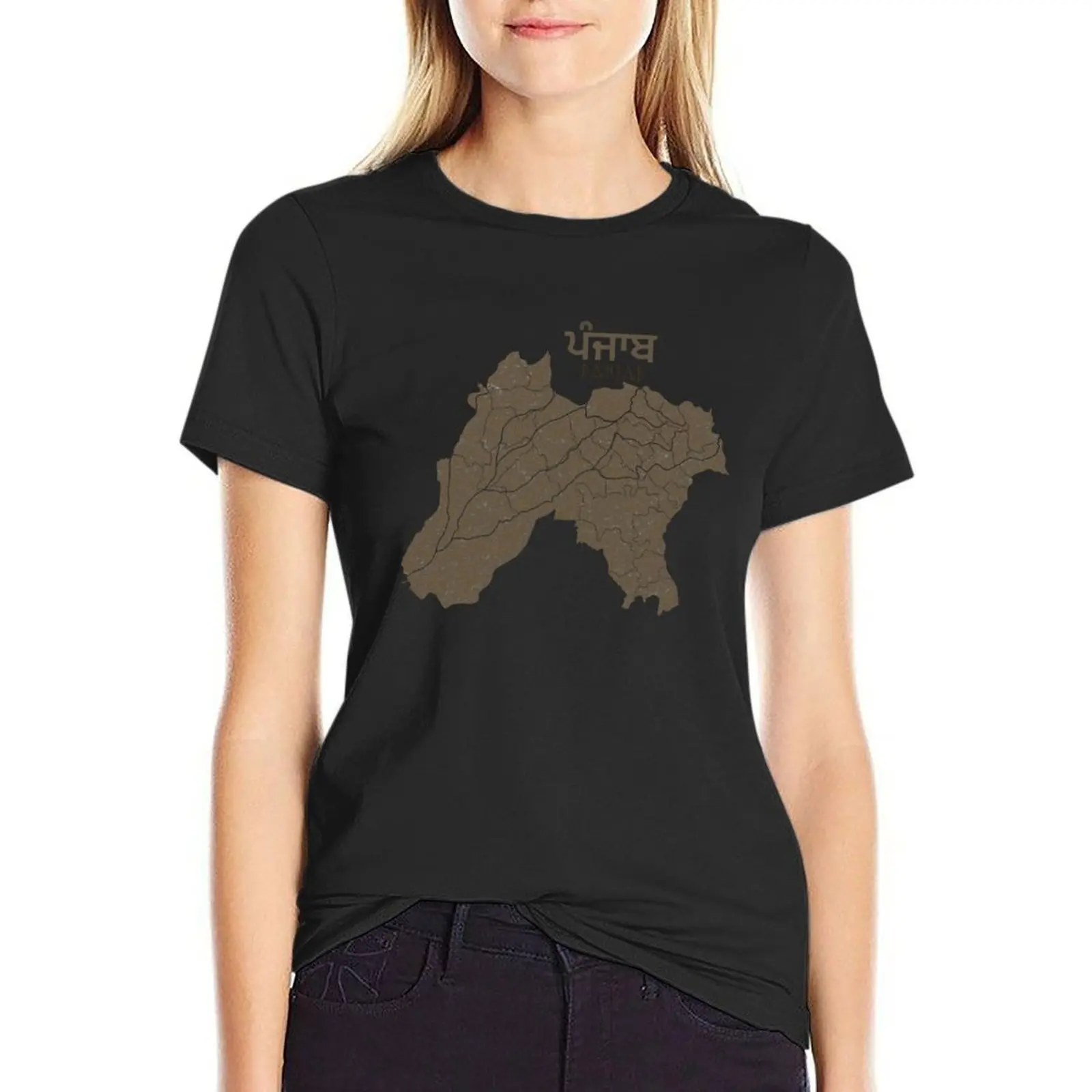 Map of undivided Panjab Old Panjab map T-Shirt customizeds vintage clothes Women's cotton t-shirt