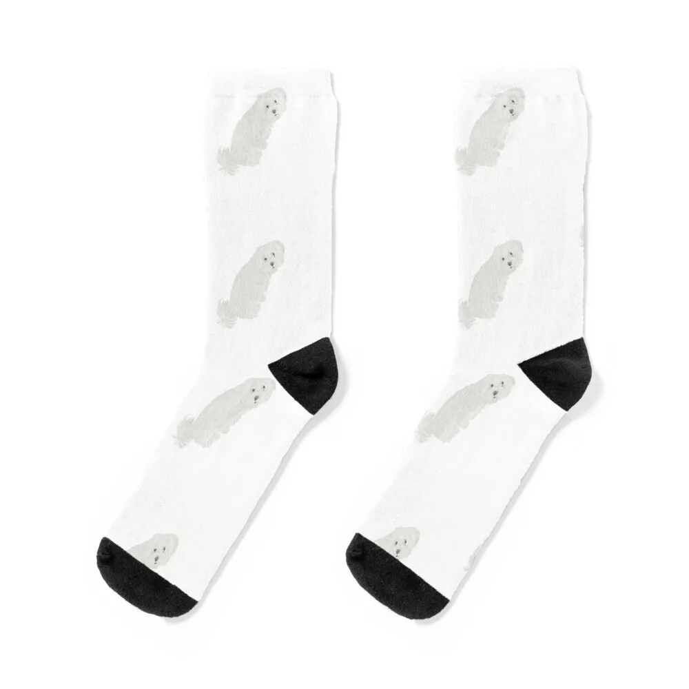 White dog sitting Socks Toe sports Wholesale gym Women's Socks Men's