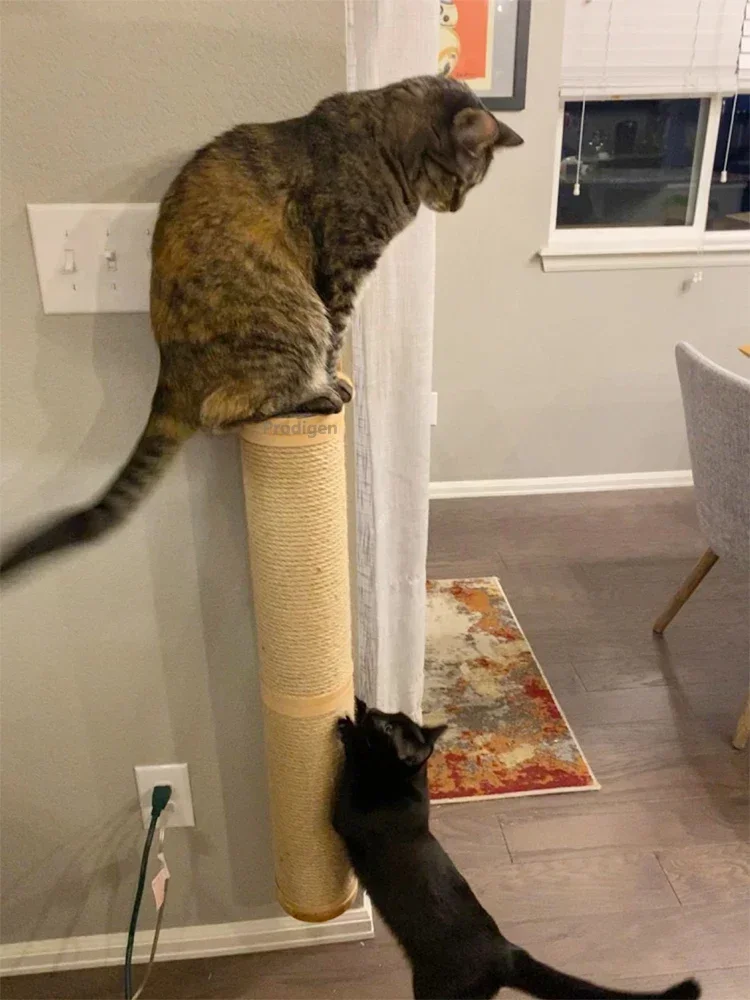 Cat Scratching Post Wall Furniture Wood Wall Mounted Kitten Scratcher Tree Tower Toys Thicker Column for Indoor Cats Accessories