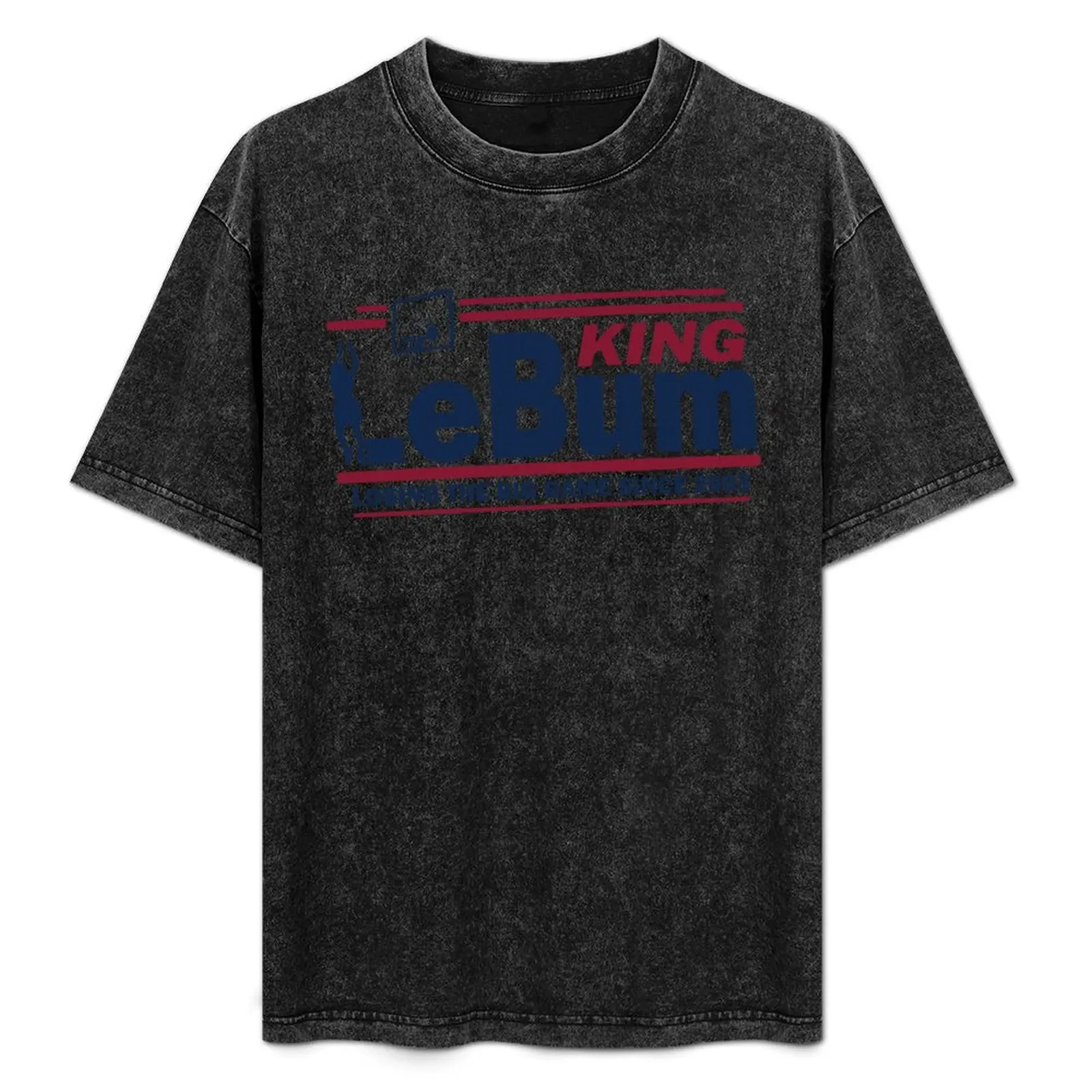 

Funny King Lebum James T-Shirt printed t shirts for man men t shirt cotton 100% T-Shirt